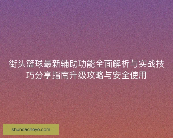 街头篮球最新辅助功能全面解析与实战技巧分享指南升级攻略与安全使用